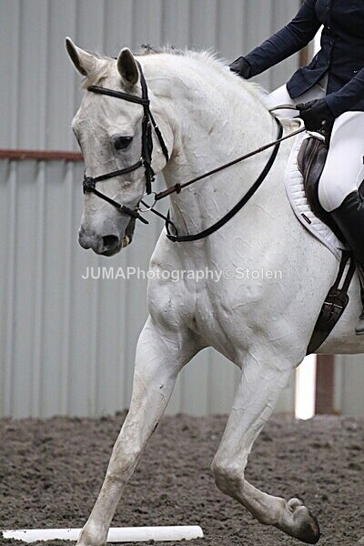 SIAL5753 - CAbin Dressage 5th july 2025
