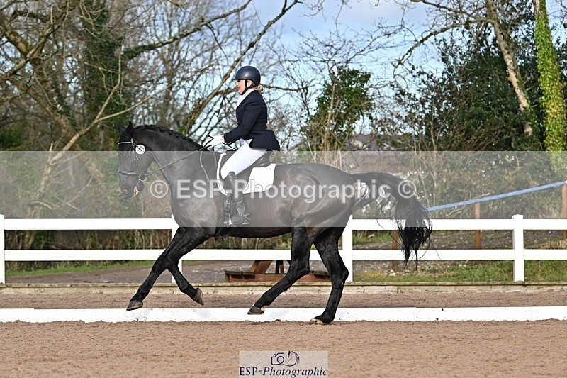 241214-130156-01801 - 156-Jo.Roberts-MajesticC