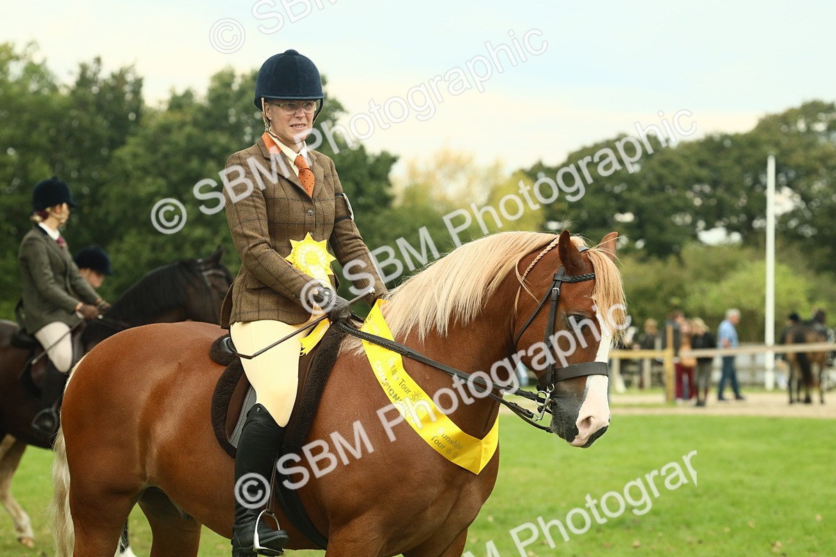 SBM_72296 - S60 - Mountain & Moorland Ridden Large Breeds
