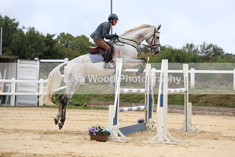 3E7A3223 - Class 9: Senior Foxhunter/1.20 open