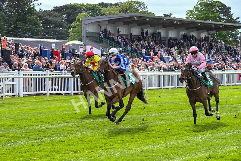 160526-Race 2-Kodi Bear Light-9312 - Race 2 2.23pm Marion Gibson Brown Memorial - Irish EBF Restricted Maiden Fillies' Stakes (Div II)