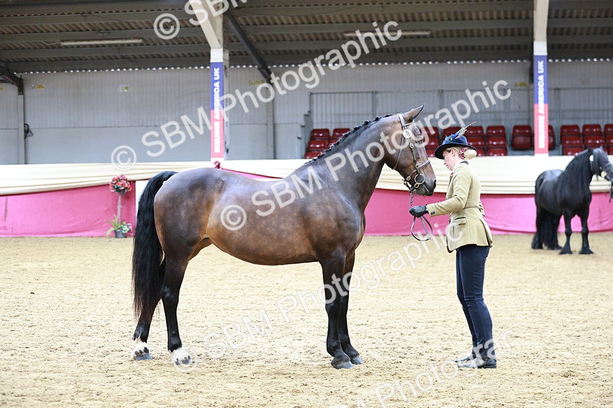 SBM_00995 - Class 2A - Area IH Veteran