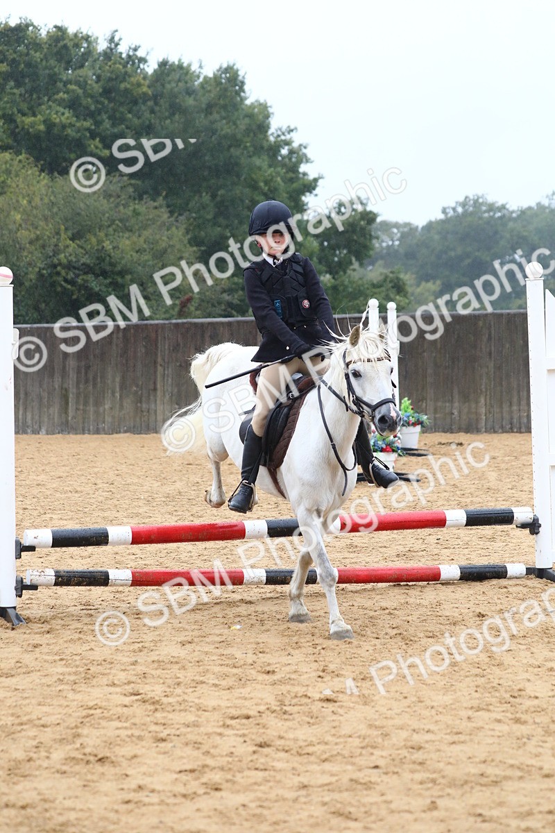 SBM_71688 - J4 - Mini Tour Junior Pony 45cm Championship