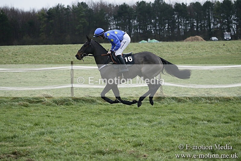 PtP 031217 744 - Hursley Hambledon Point-to-Point Larkhill 03/12/17