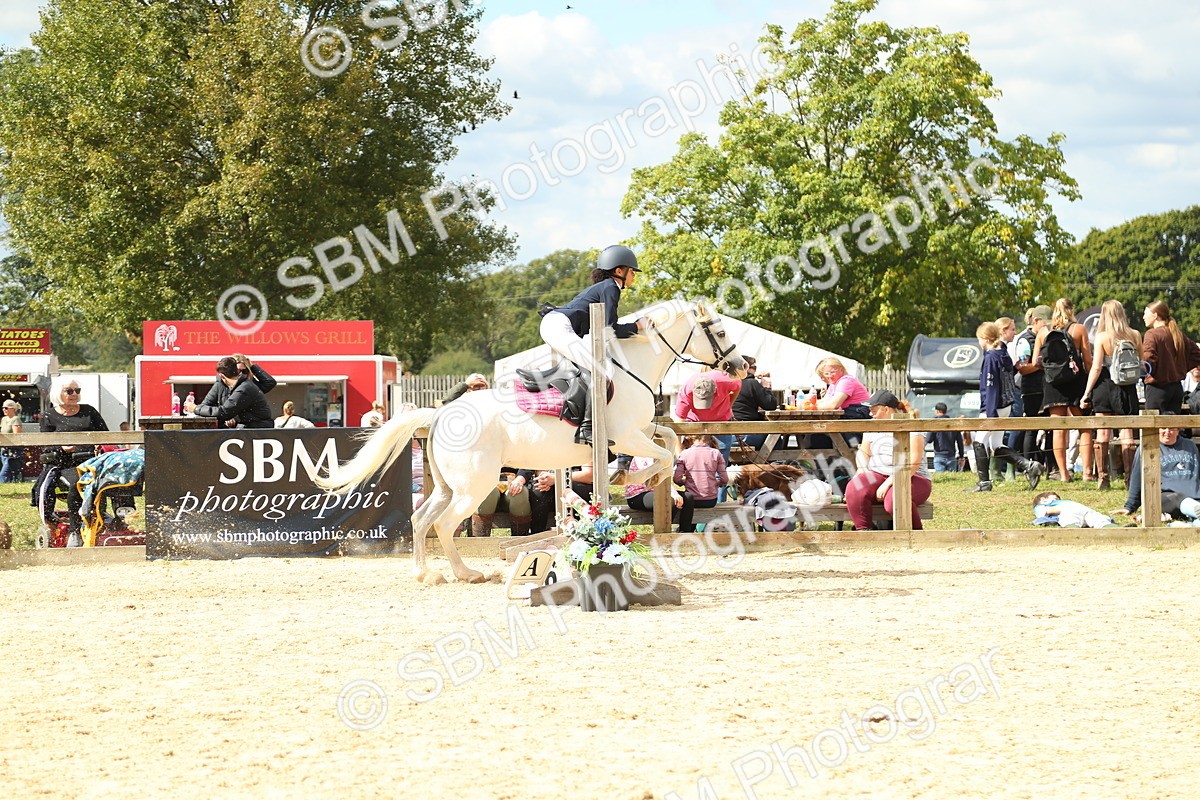 SBM_41344 - J6 - Junior Pony 55cm Championships