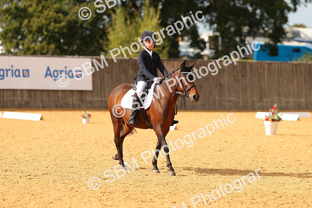 SBM_48362 - D22 - Junior Championship - Intro B