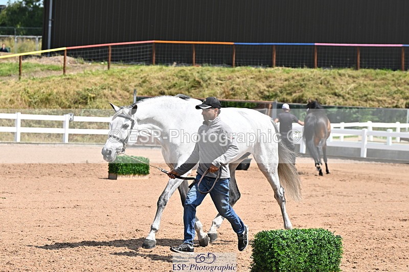 240718A-105258-01386 - Trot Up 12pm to 1pm