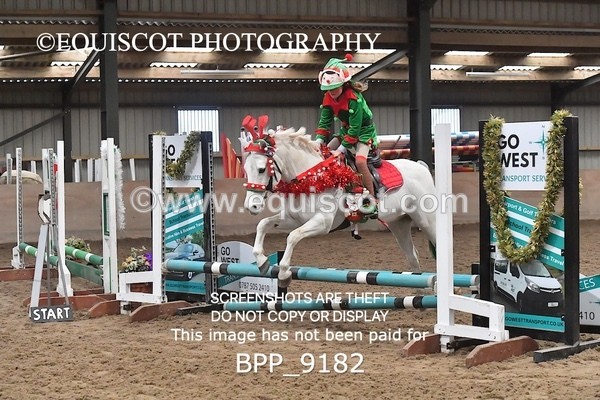 BPP_9182 - CLASS 4 50CM Novice Show Jumping