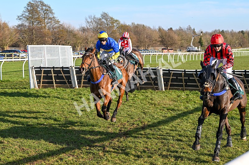 050325-Race 4-Hostile Hotelier-9826 - Race 4