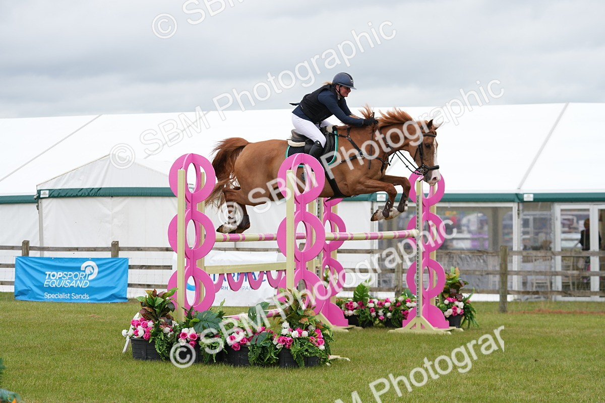 SBM_03303 - Class 201 - British Horse Feeds Speedi Beet Horse of the Year Show Grade  C