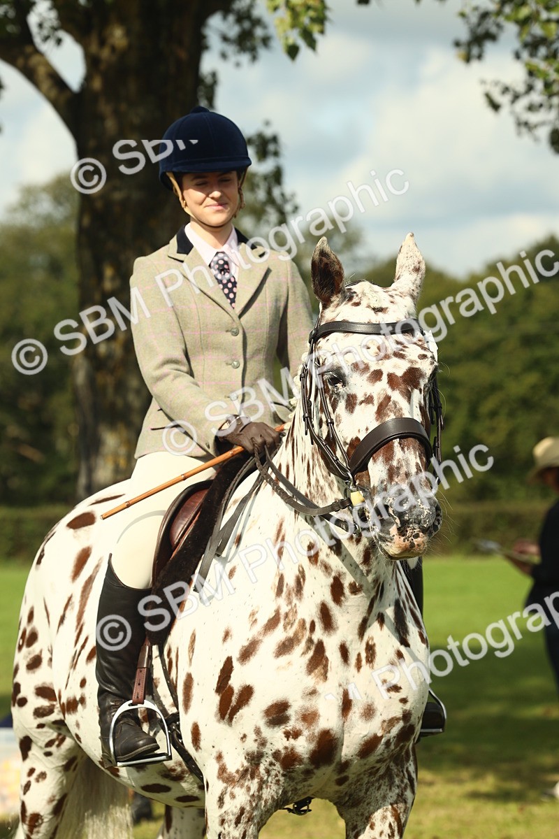 SBM_62515 - S62 - Foreign Breeds Ridden