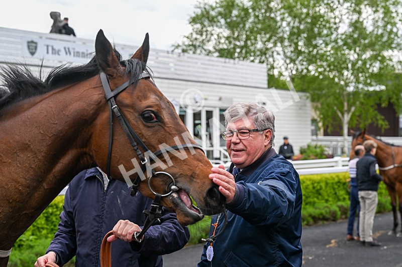 110526-Race 2-Zarvali-0536 - Race 2 3.00pm Racing Welfare Supporting Mental Health Awareness Restricted Novice Stakes