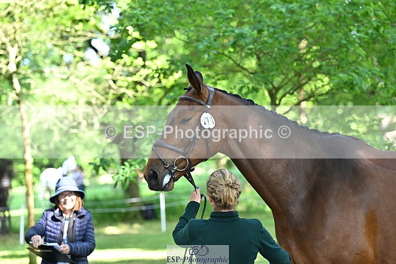 250521A-160509-00907 - C-271-Kirsty.Chabert-OPPOSITION.HELIOS