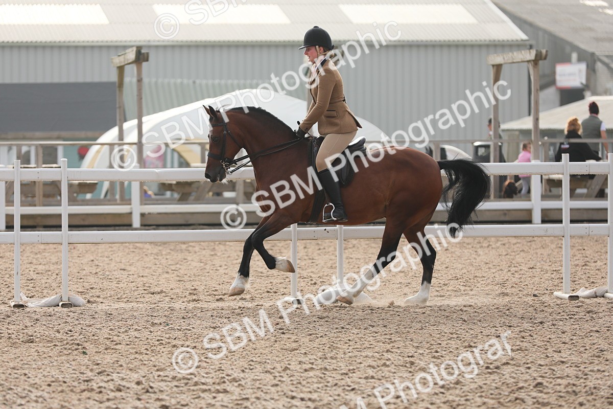 SBM_10079 - Class 302 Ridden M&M -Large Breeds