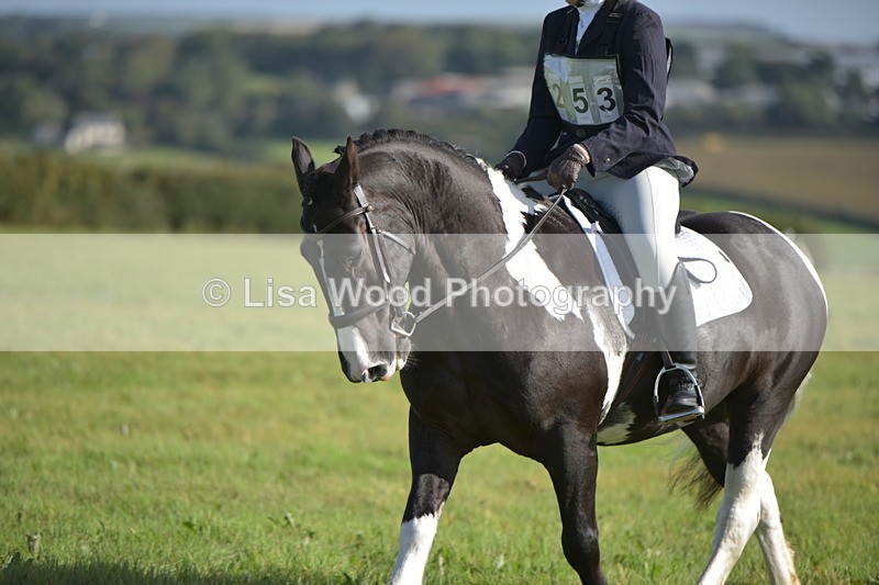 RAY_7340 - Class 2B: Trekenning Open: Dressage