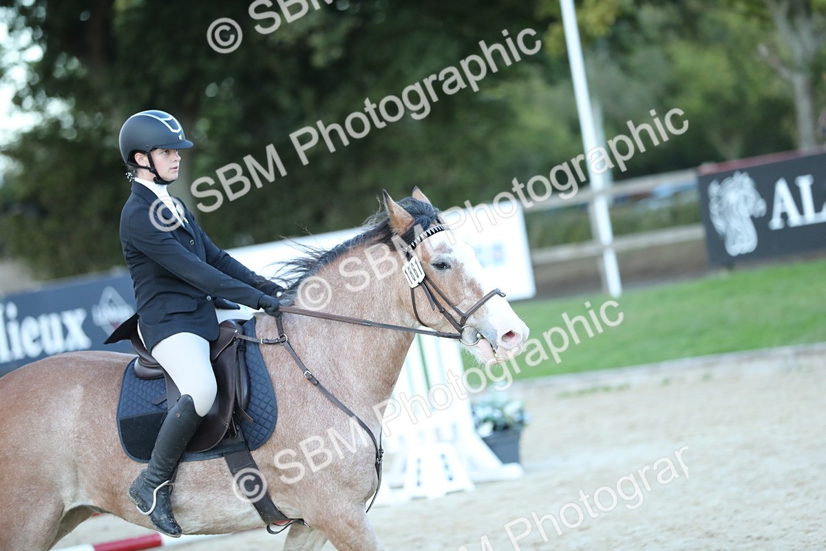 SBM_53676 - Supreme Championship 65cm 70cm