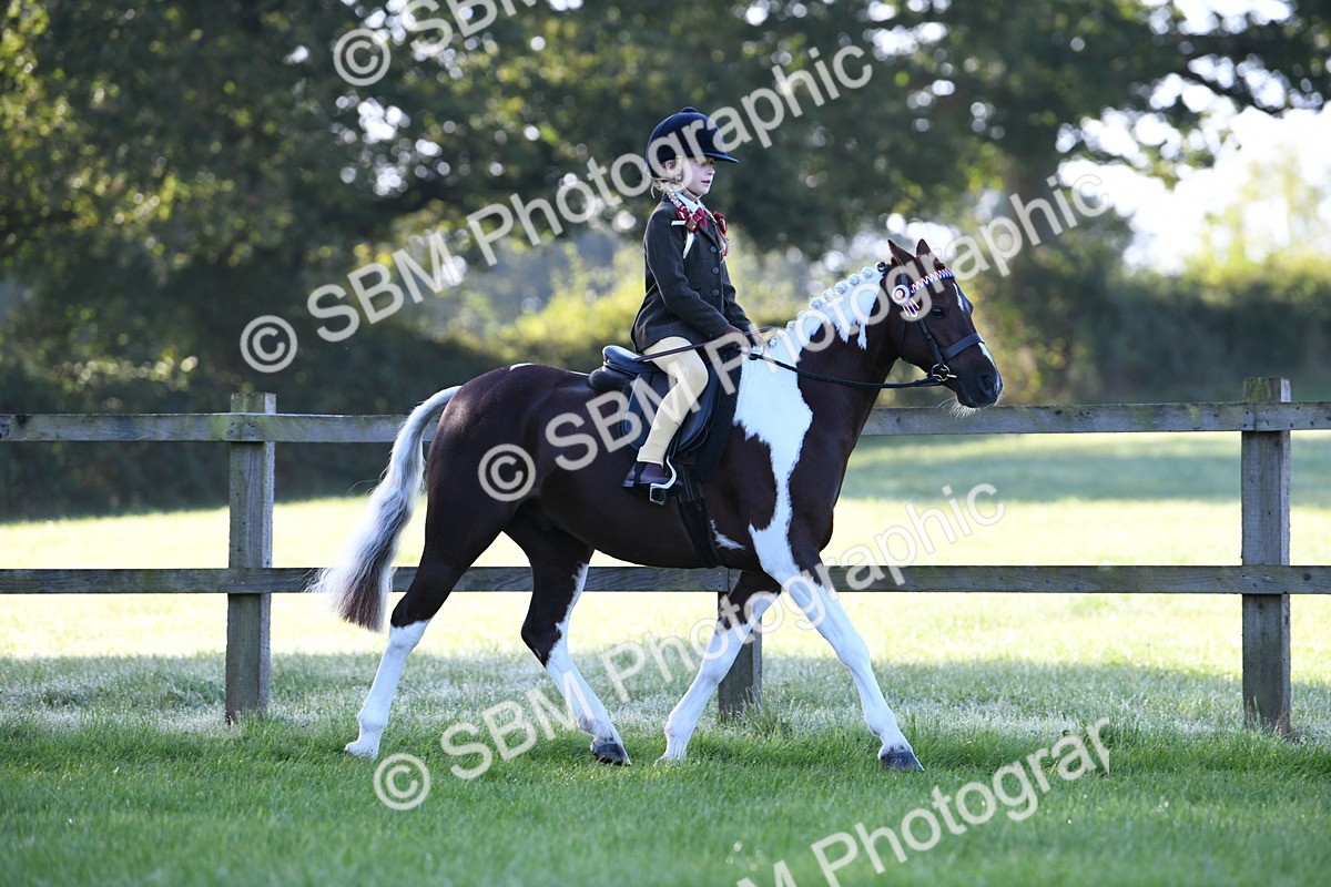 SBM_33943 - S16 - Condition & Turnout - Ridden