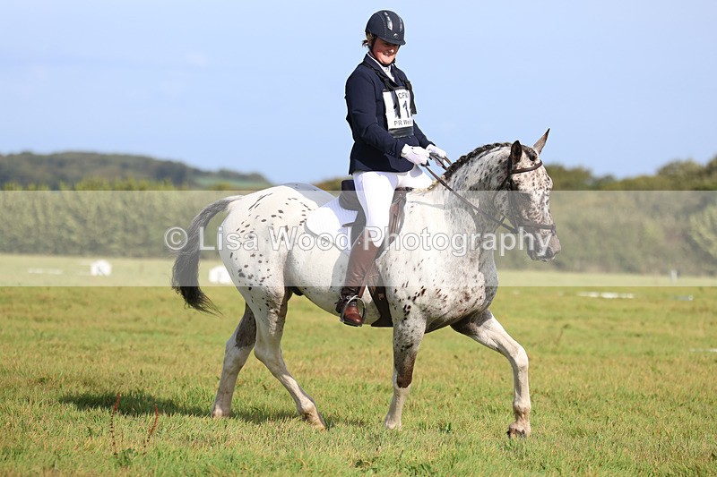 3E7A6047 - Class 1: Trebudannon Open: Dressage (Part 2)