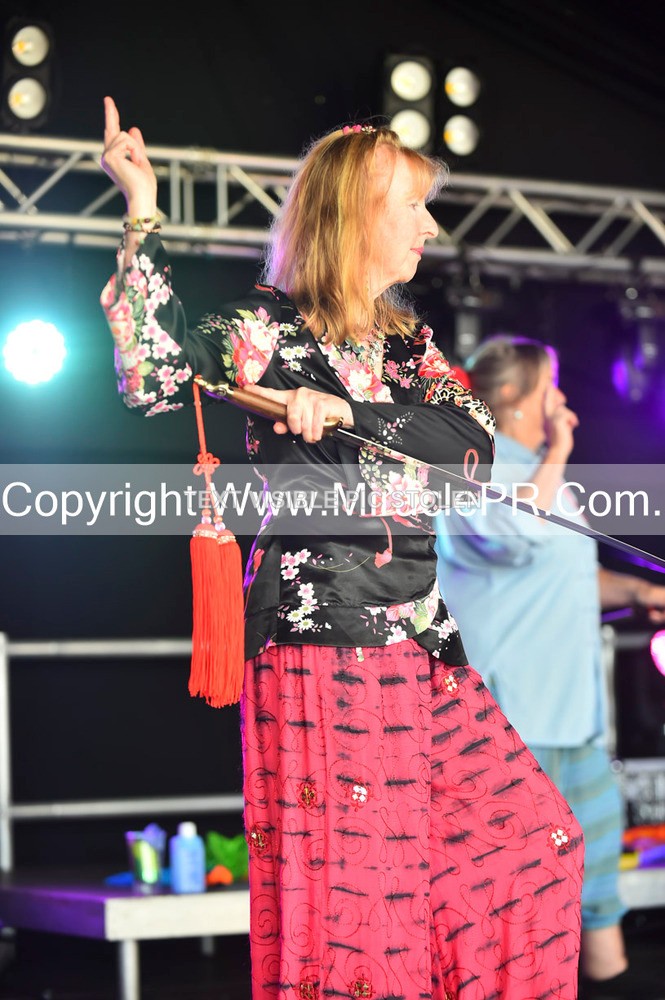 SH4_1515 - Tai Chi with Lisa Kay.