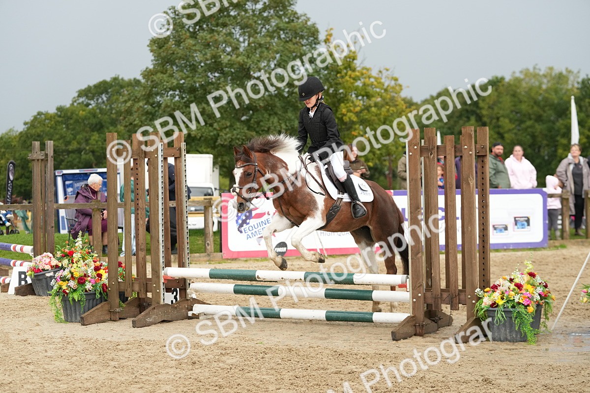 SBM_33464 - J5 - Junior Pony 50cm Championship