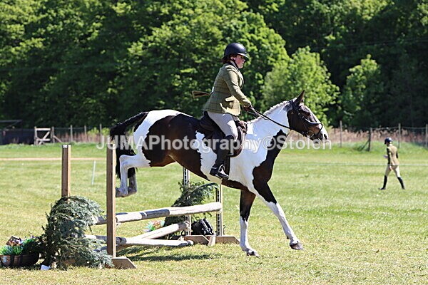 IMG_4084 - Working Hunter