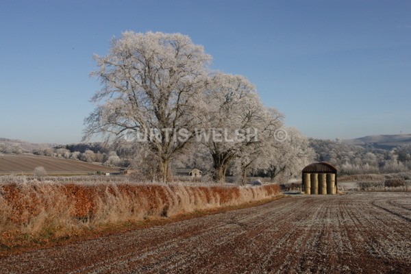 102 - SCOTTISH BORDERS