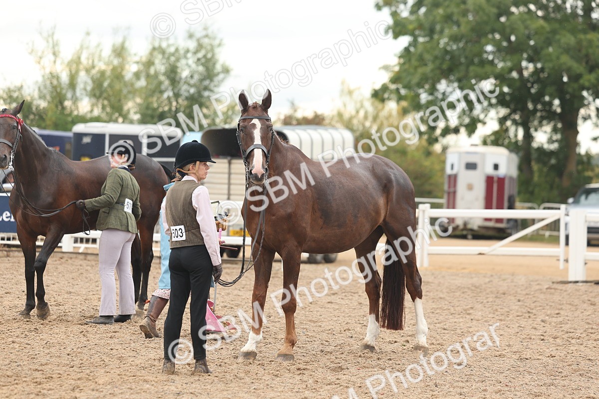 SBM_07763 - Class 27 - IH Competition Horse/Pony