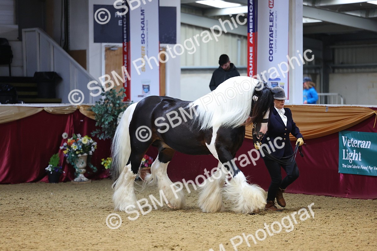 SBM_22680 - Class 903 - Supreme Final - IH Pre Vet