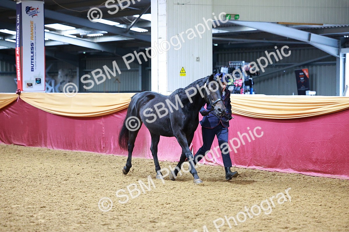 SBM_16009