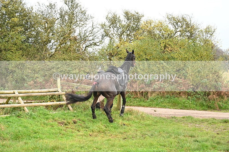 WJ7_0436 - Camera 1 & Last fence