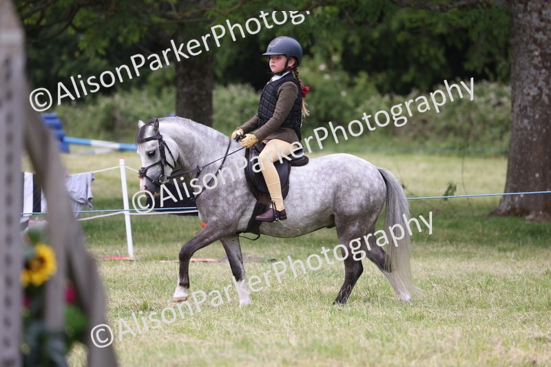 20260614-3167 - Class 22 - Open Working Hunter