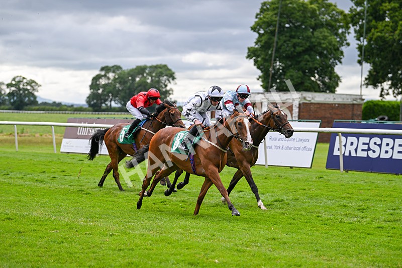 030724-Race 5-Petra Celera-0870 - Race 5