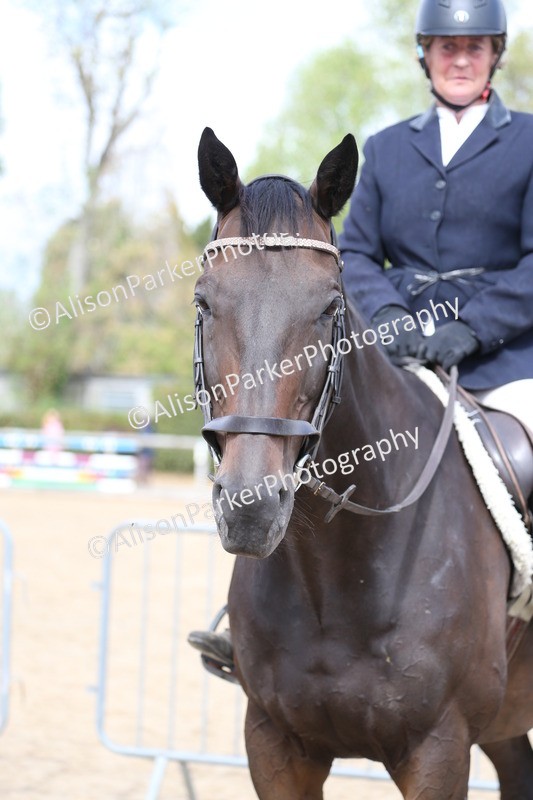 20260831-2660 - Class 15 - Ridden Retraining of Racehorses