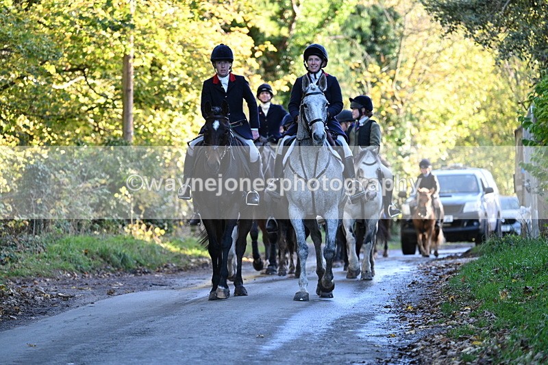 WJ7_8692 - Walk Home