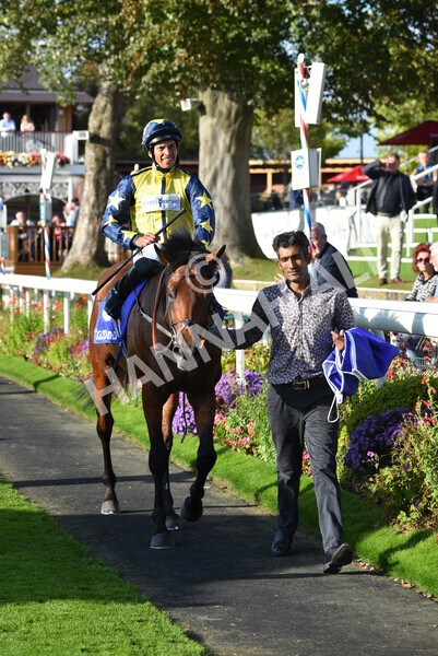 yr08102021r4-42 - Race 4 3.50pm Casumo Dare To be Different Handicap