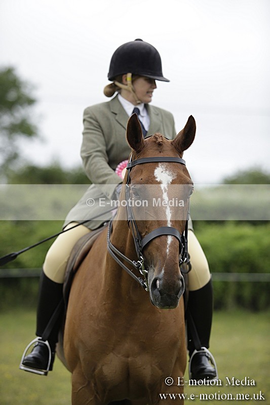 BVR160717-1056 - Ring 1 BVRC Show 16/07/17