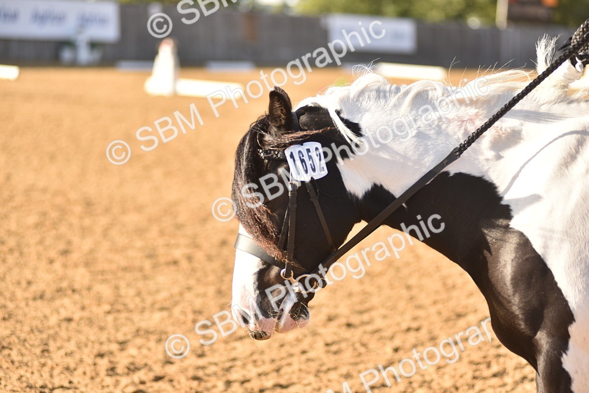 SBM_53347 - D24 - Junior Championship Prelim 3