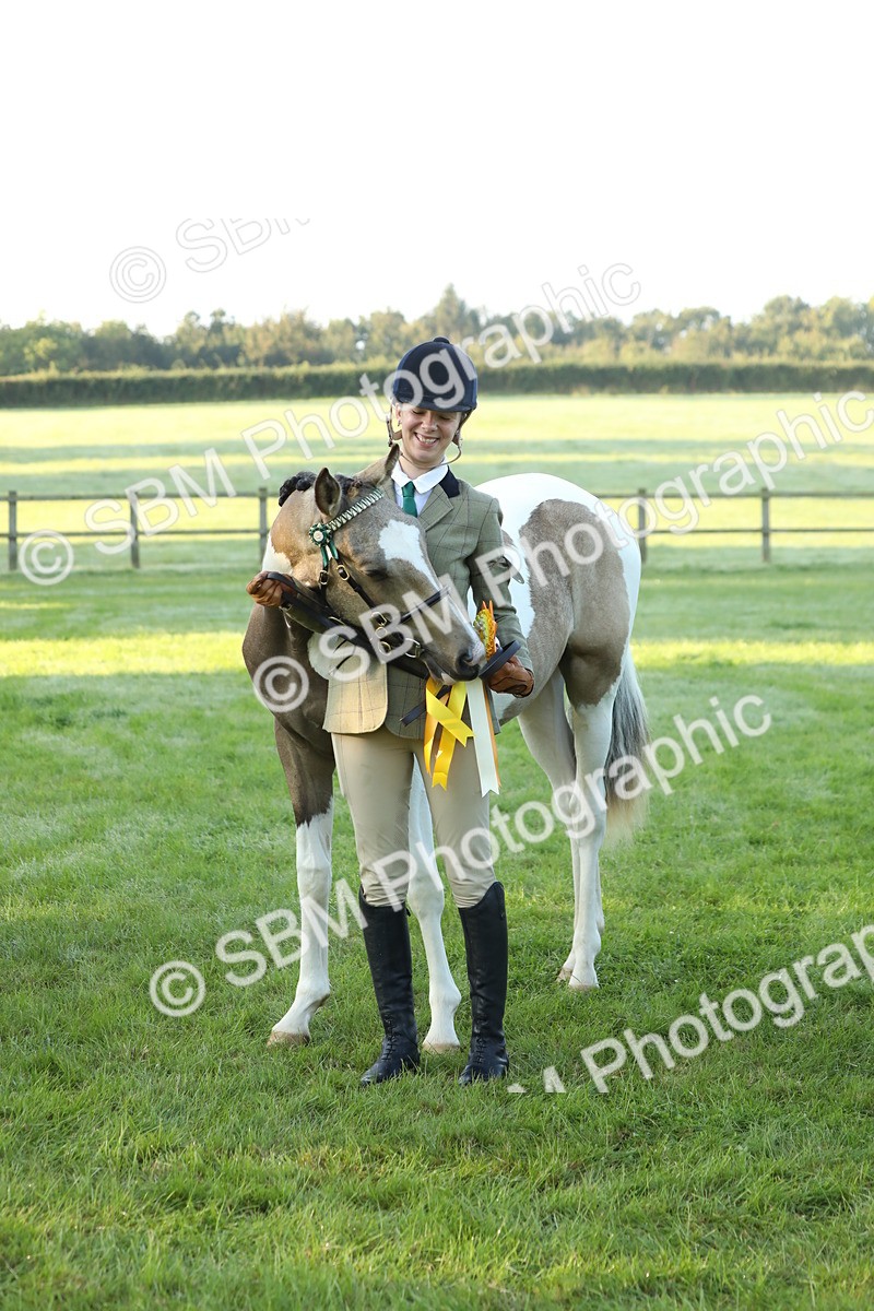 SBM_57868 - S42 - Youngstock