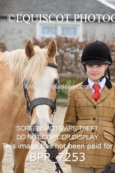 BPP_7253 - RING 1  (RIDDEN HORSES / IN HAND / VETERAN ETC)