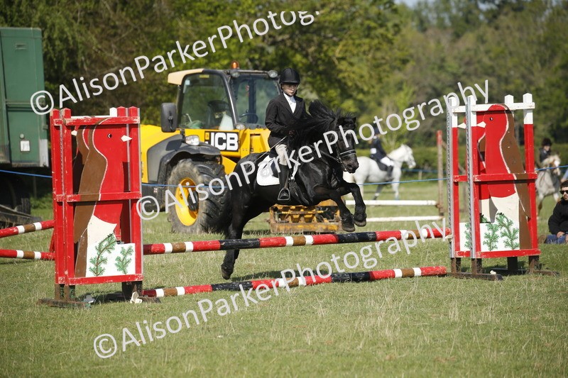 20250427-0398 - Class 12 - Rookie Jumping 40cm