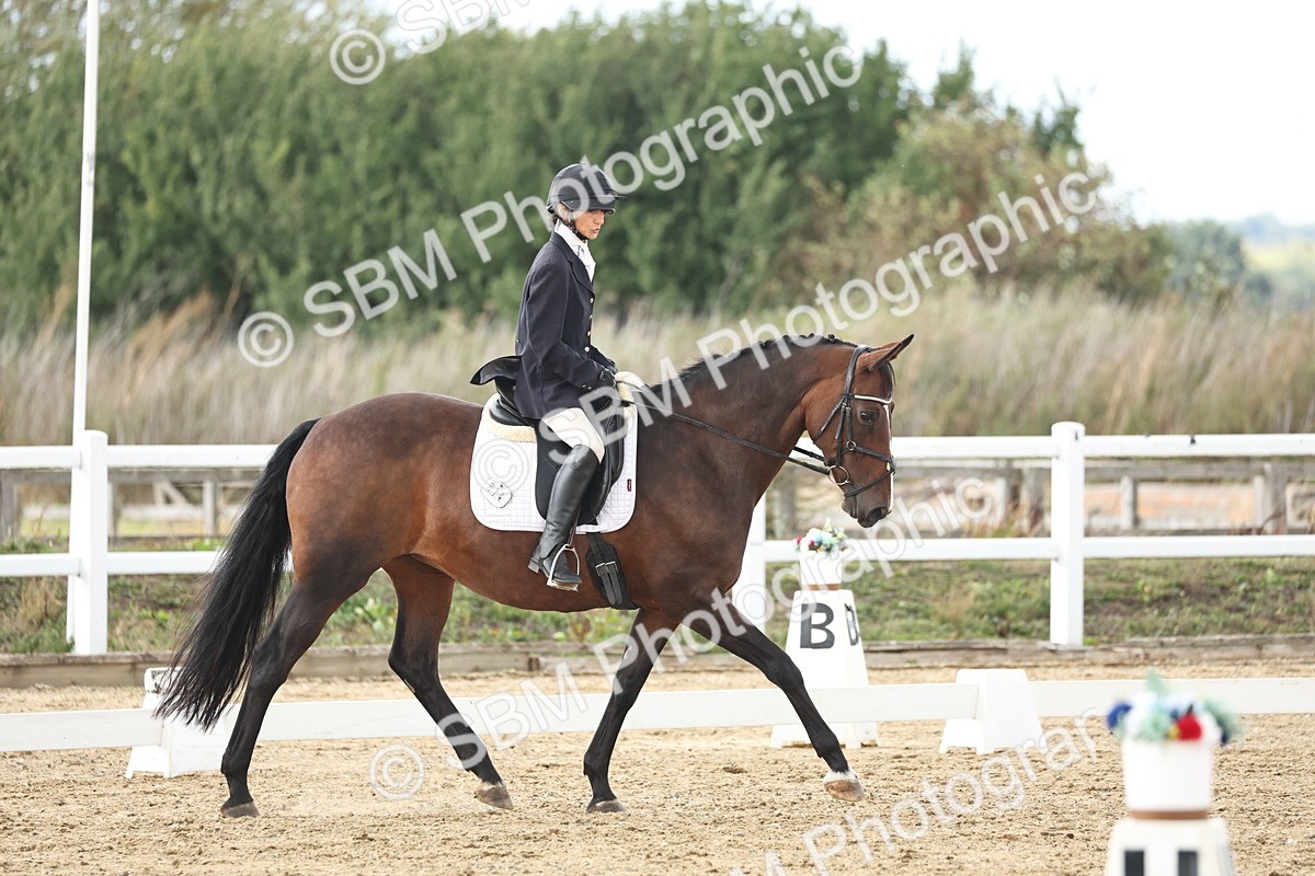 SBM_003796 - Class 8 - Novice 3 Champs