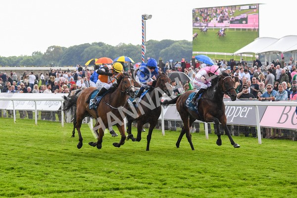 190523-Race 2-Sounds Of Heaven-0341 - Race 2 2.25pm Oaks Farm Stables Fillies' Stakes