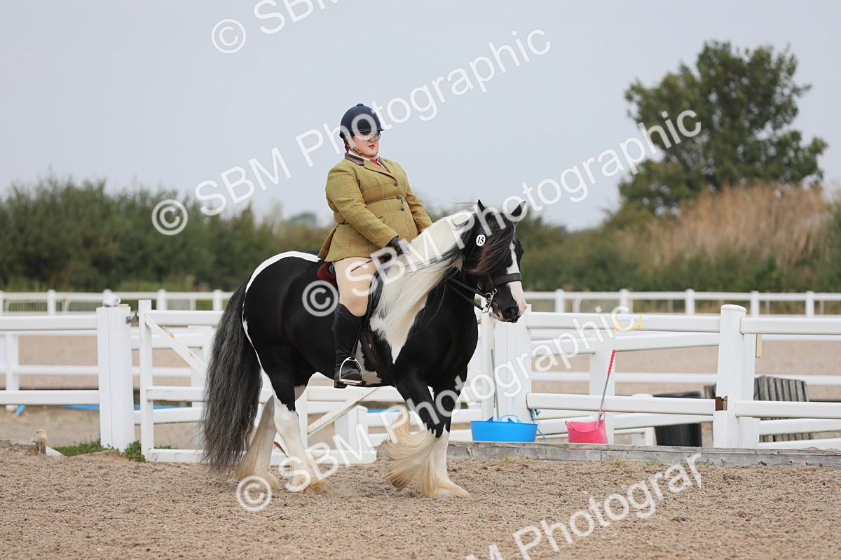 SBM_12664 - Class 307 Ridden Coloured Pony