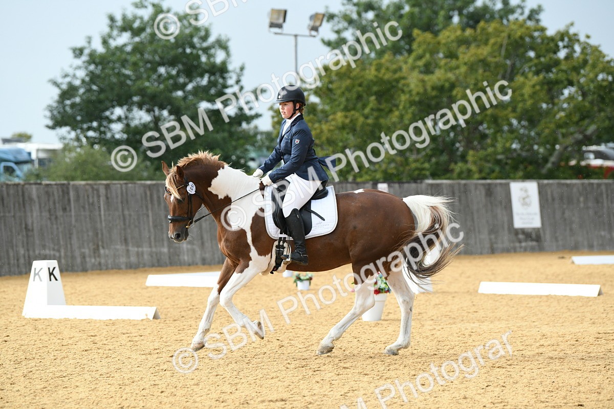 SBM_11081 - D28 Elementary Taster Elementary 42