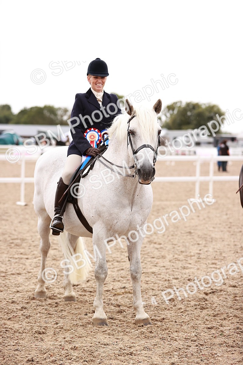 SBM_19088 - Class 422 - Ridden M&M