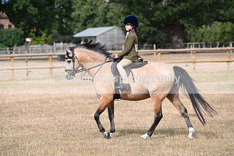 WJ6_7471 - Class 9 Tack and Turnout