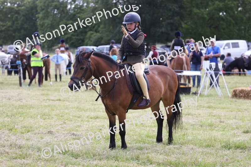 20260614-1841 - Class 21 - Novice Working Hunter Pony