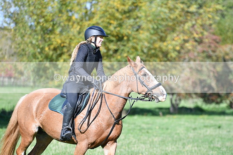 WJ5_7707 - Time 10:31 to 12:01