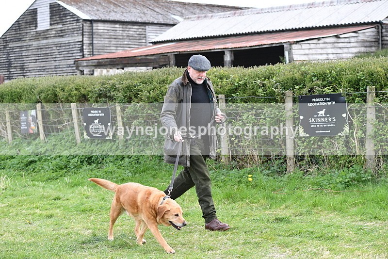 WJ5_0020 - Class 5 Best Veteran / 7 years & over