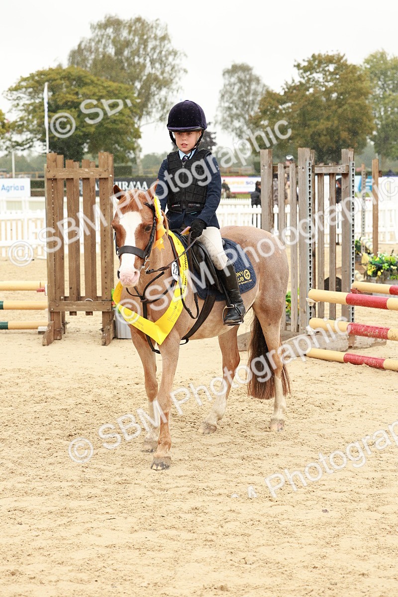 SBM_69387 - J13 - Junior Pony 60cm Championship